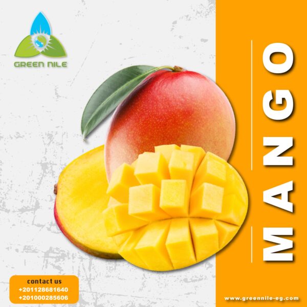 Mango